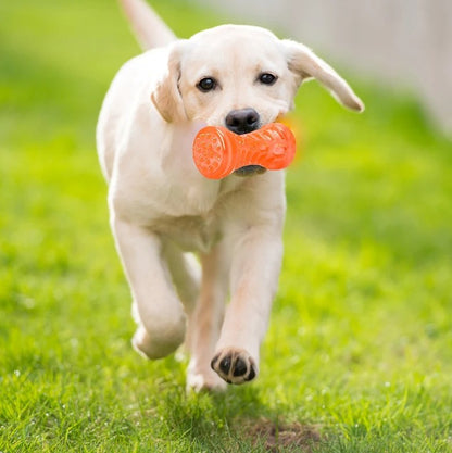 Bone Rubber Pet Toy