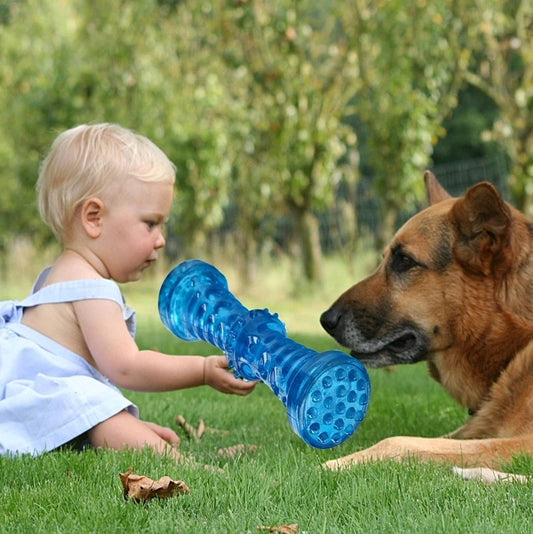 Bone Rubber Pet Toy