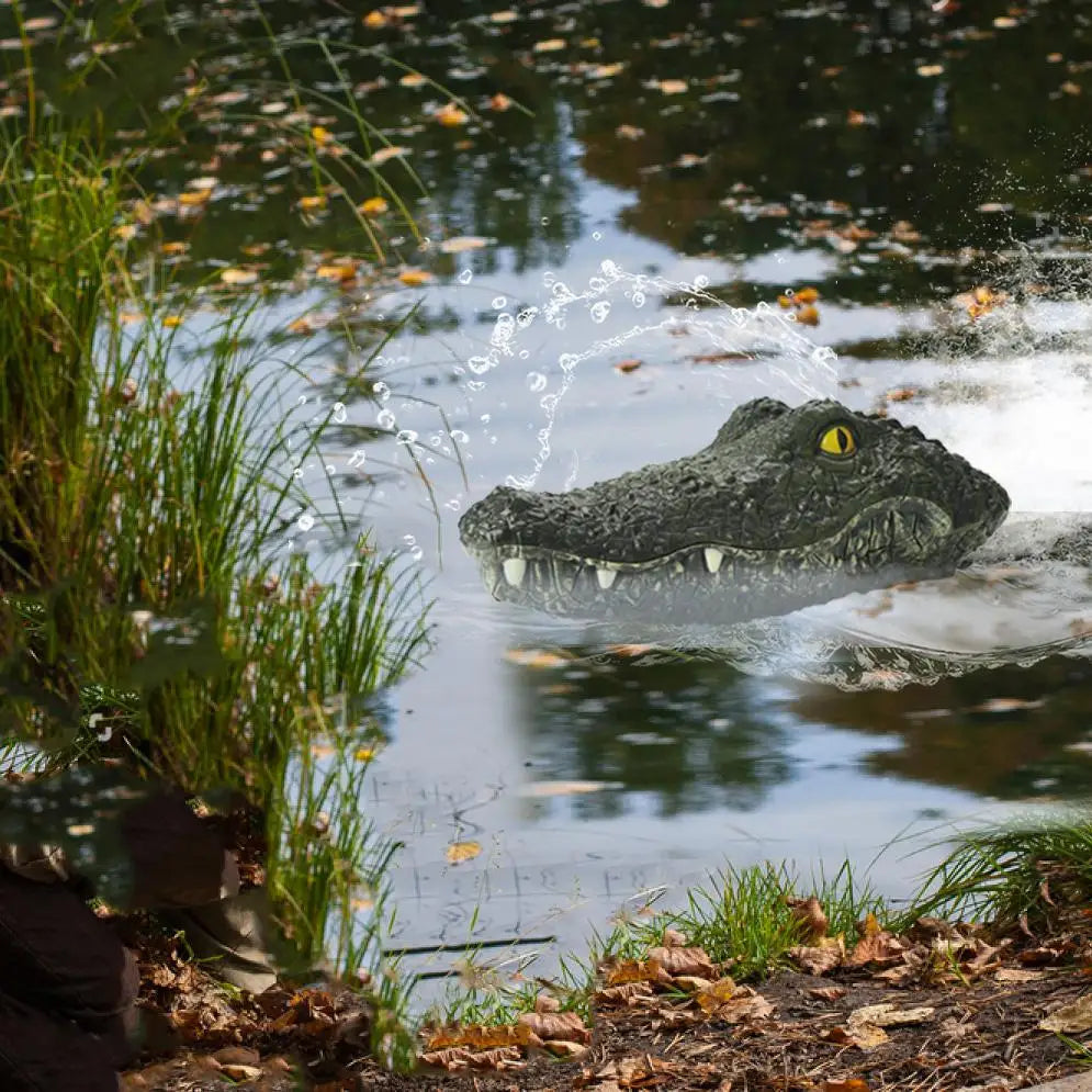 Crocodile Speedboat